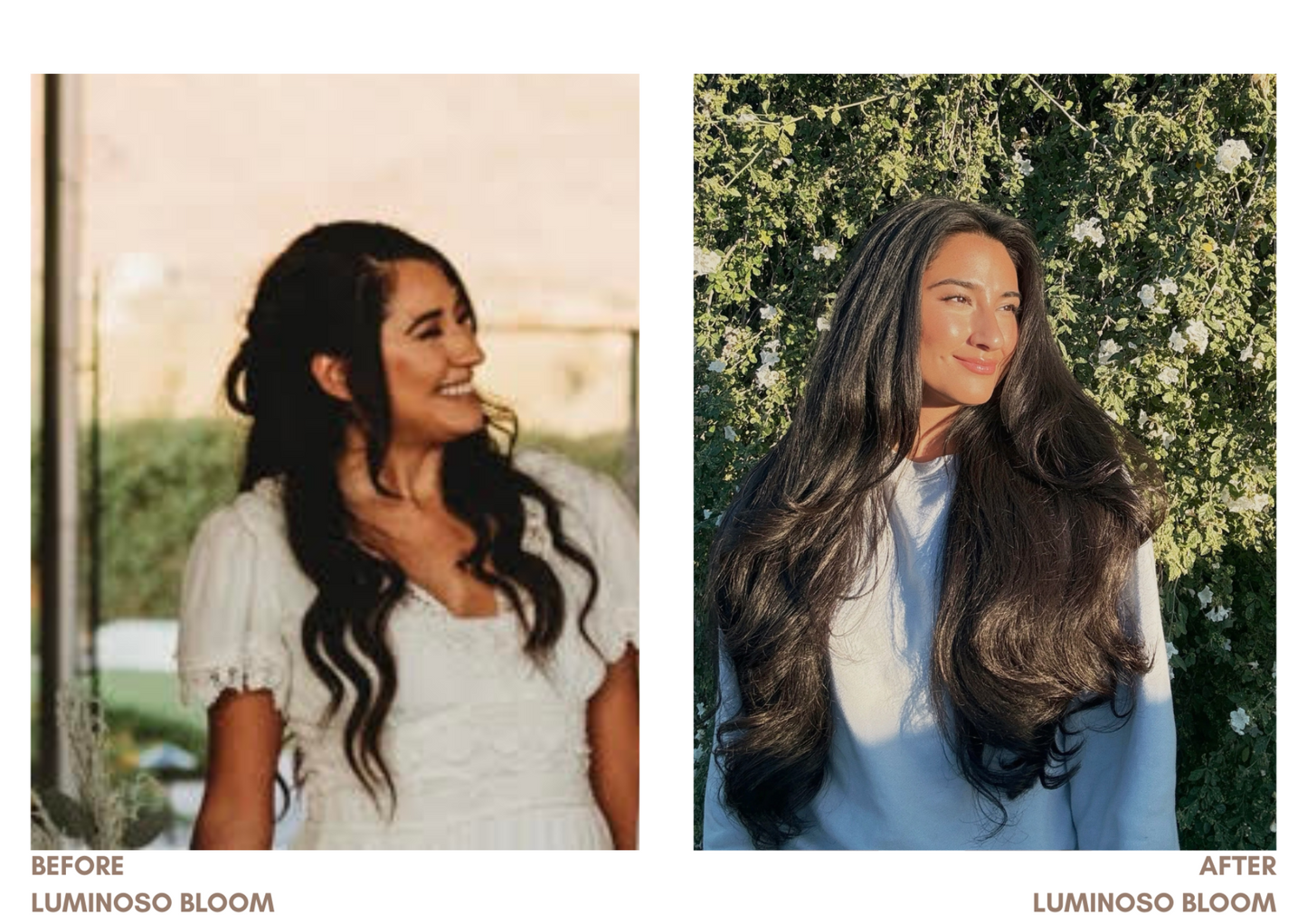 Back to Your Roots TLC – Nourishing Pre-Wash Scalp Oil